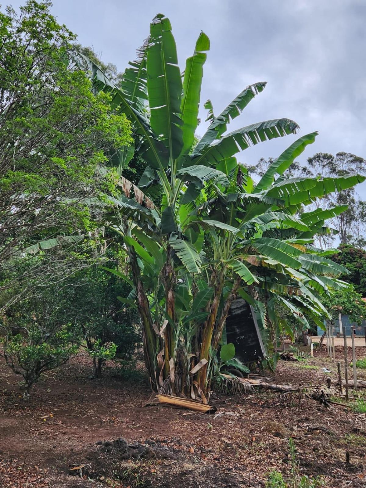 Pousada La Na Roca Paraisópolis Exterior foto