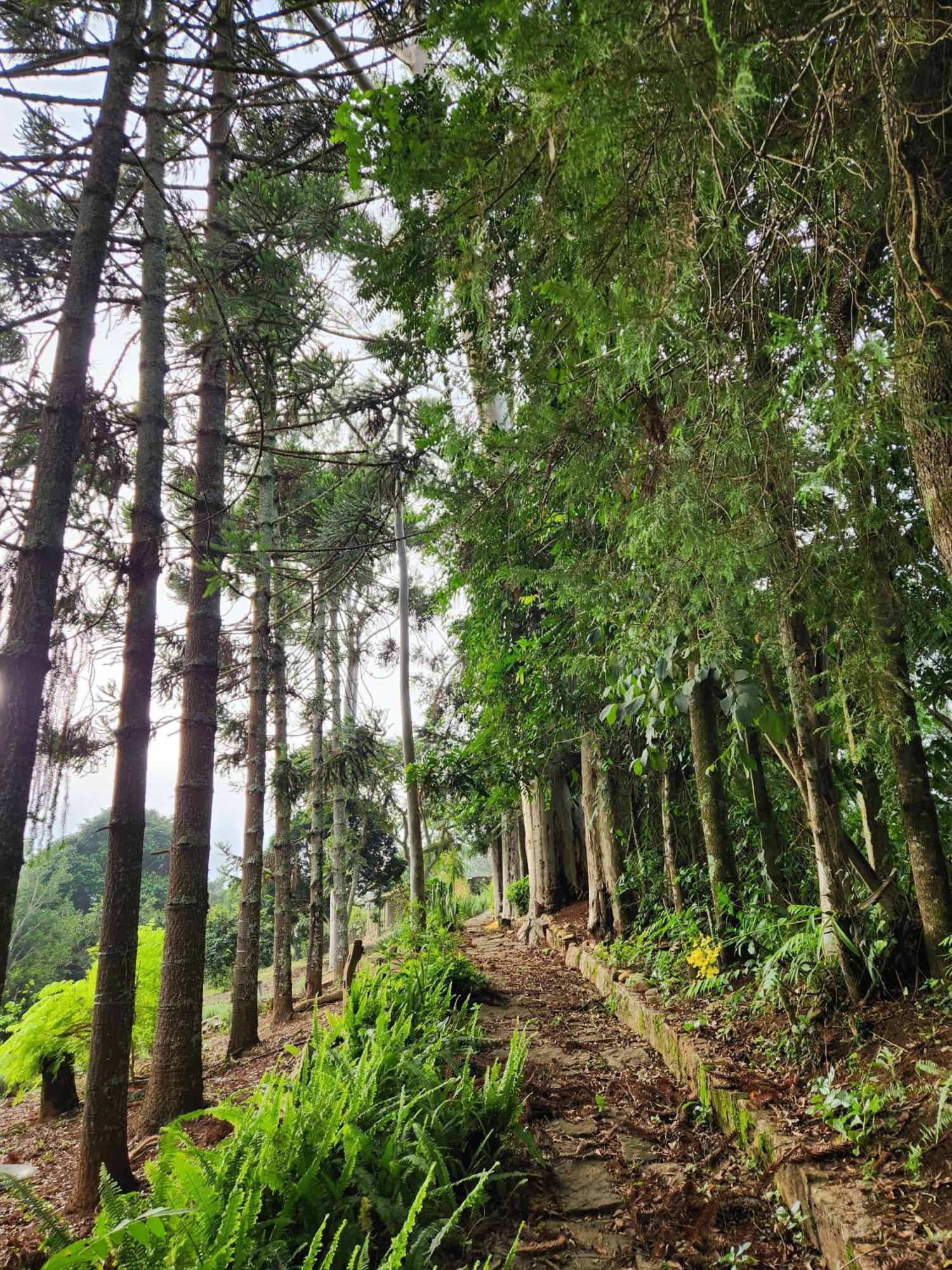 Pousada La Na Roca Paraisópolis Exterior foto